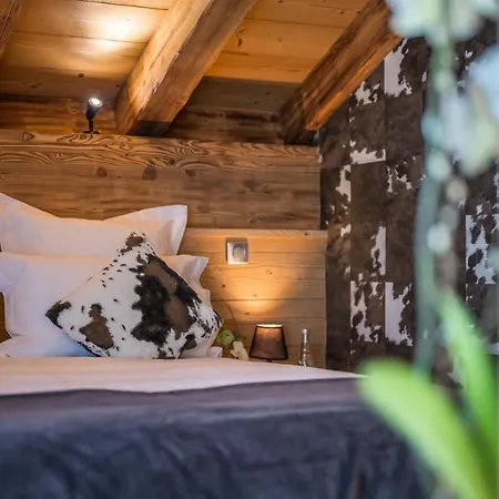 Tamo Dağ evi Courchevel